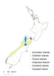 Veronica simulans distribution map based on databased records at AK, CHR & WELT.
 Image: K.Boardman © Landcare Research 2022 CC-BY 4.0